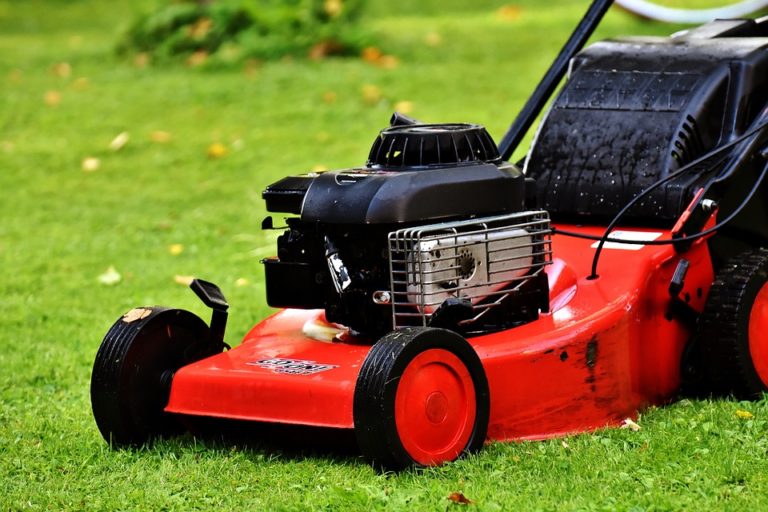 Best Corded Electric Lawn Mowers in 2022 Everything You Need to Know!