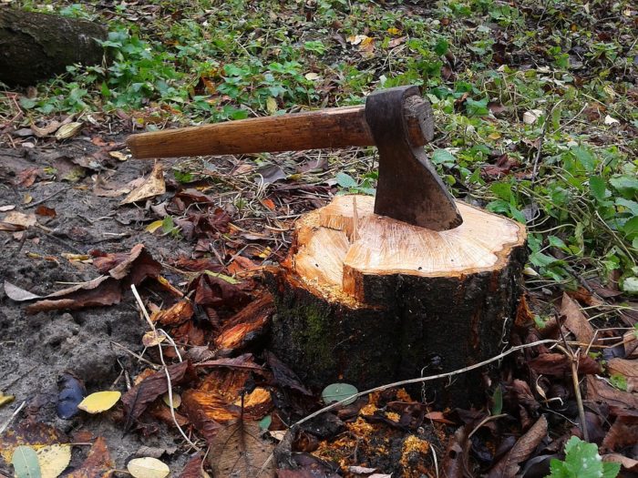 Ways to get rid of tree stumps