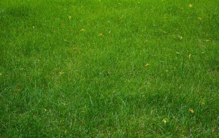 how to select  commercial lawn mower