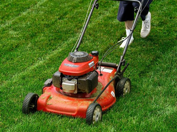 What is the difference between a mulcher and  lawn mower?
