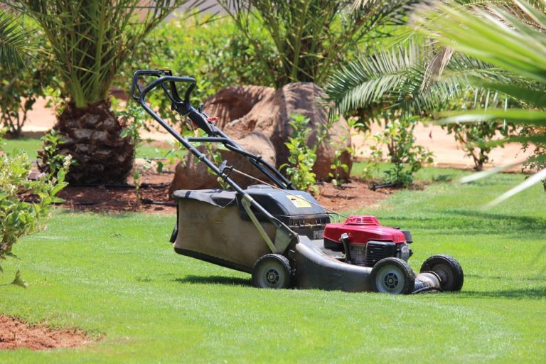 Best Lawn Mower Brands In 2022 With Updated Reviews & Guide