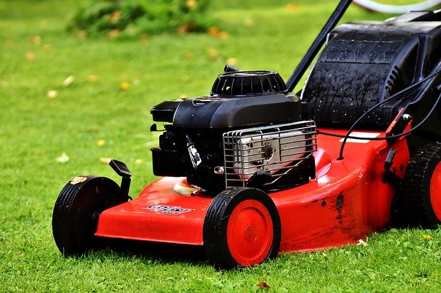 The top lawn mowers for small yards