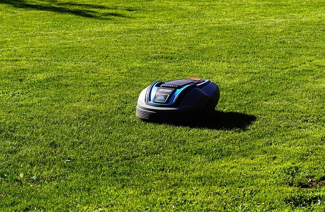 Lawn mower for small yards