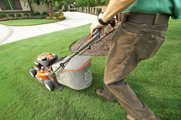 start a lawn care business