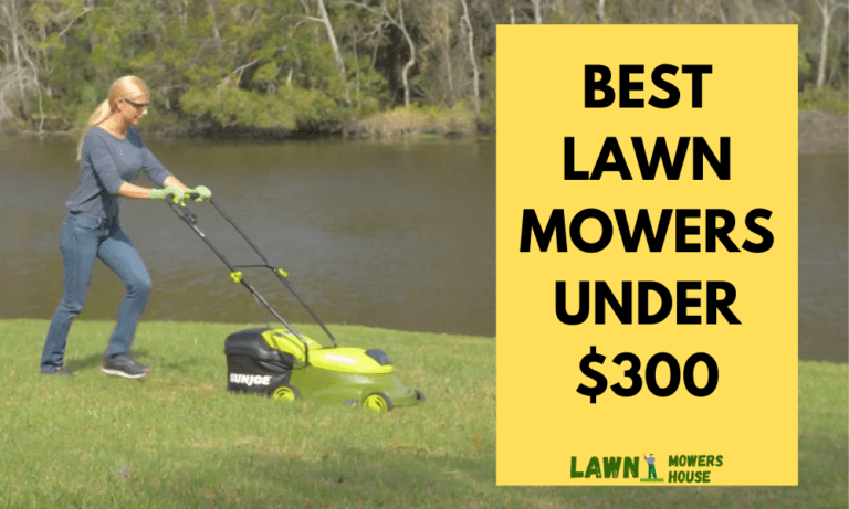 best mowers under $300