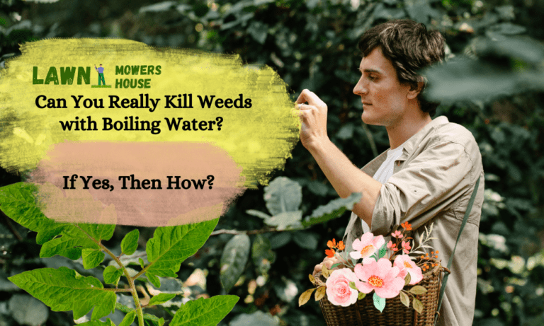 Can You Really Kill Weeds with Boiling Water? If Yes, Then How