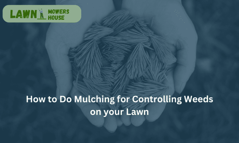 How to Do Mulching for Controlling Weeds on your Lawn