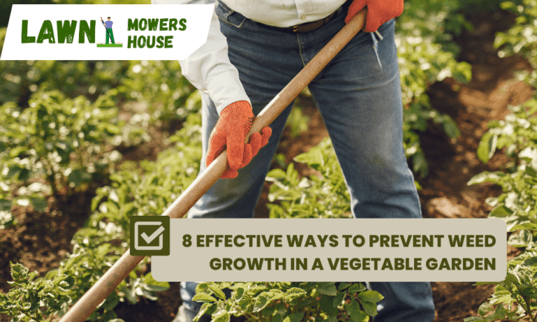 8 Effective Ways to control Weed Growth in a Vegetable Garden